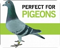 Produkty Hap Labs sú špeciálne určené pre holuby