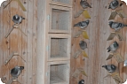 Oddelenie vdov a samotky pre holubice, ktoré sa navzájom pária