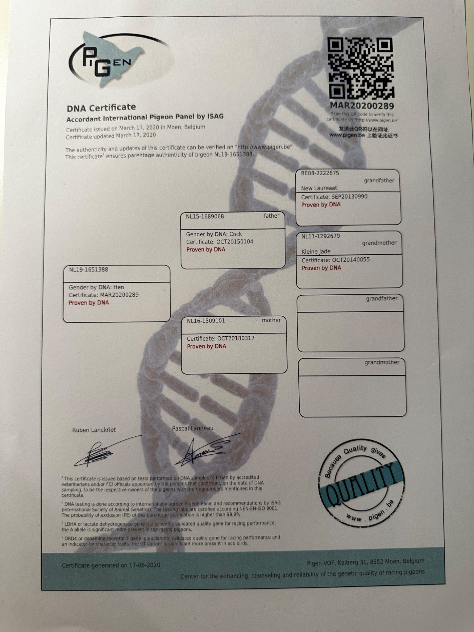 Foto DNA test Blue Ace