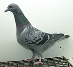 SK-25-02207-364