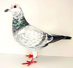 SK-2025-0604-200 FINN & LEIDEMAN´S GEBr.