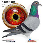 PL-21-0412-4409  