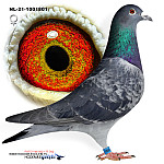 NL-21-1001801   