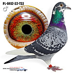PL-22-0412-732  