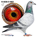 PL-21-0226-14877  VNUK 