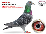 2016-DV-0507-1150  INBOLT (H/TK)