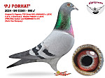 2024-SK-03501-998  PJ PORHAT  (H/M)