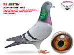 2024-SK-03501-987  PJ JUSTIN  (H/M)