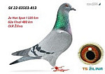 SK 03503-22-413