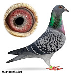 PL-0100-23-4021