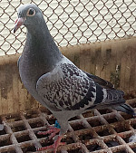 Sk 26.1610 1793