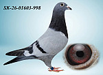 SK-26-01603-998 HE?