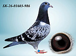 SK-26-01603-986 HE?