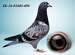 SK-26-01603-696 HE?