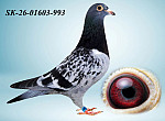 SK-26-01603-993 H?