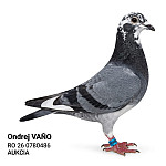 RO 26 0780486