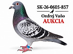 SK 0605 26 857