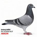 DV 25 09392 8127 (starý krúžok r.2026)