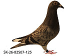 SK-26-02507-125 MKŠ