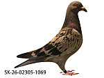 SK-26-02305-1069 MK