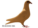 SK-26-02305-1066 Biely