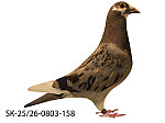 SK-25-0803-158 MK STR -stary kružok
