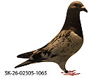 SK-26-02305-1065 MK