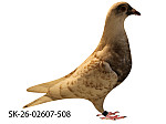 SK-26-02607-508 Rudy Biely