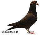 SK-26-0804-203 Rudy Čierny