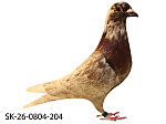 SK-26-0804-204 Rudy Biely