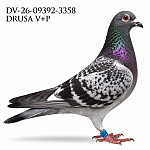 DV-26-09392-3358