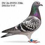 DV-26-09392-3386