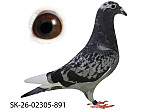SK-26-02305-891 MK STR