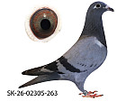 SK-26-02306-263 MP