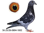 SK-25-0804-1002 TK - Starý krúžok