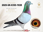 SK-2025-0305-1028-Mp