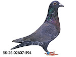SK-26-02607-594 Rudy