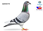 24.CZ.0134.1776