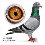 NL-22-8327418