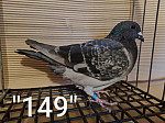 SK-26-01108-149 TK-H