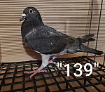 SK-26-01108-139 TK