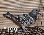 SK-26-01108-199 MK